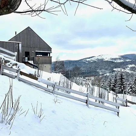 Moderne Avec Spa, Ideal Pour 12 Personnes - Fr-1-744-54 Holiday home Muhlbach-sur-Munster