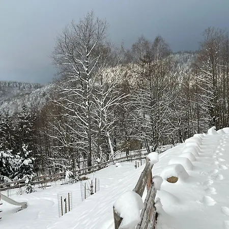 Moderne Avec Spa, Ideal Pour 12 Personnes - Fr-1-744-54 Holiday home