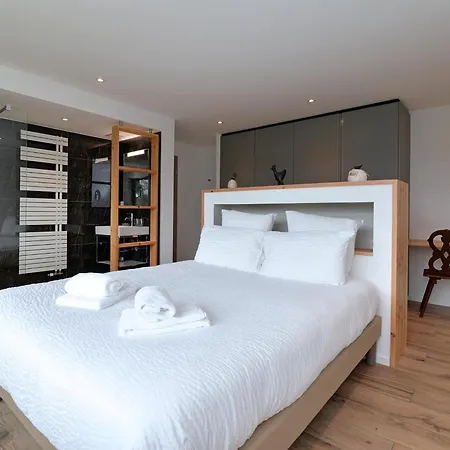 Moderne Avec Spa, Ideal Pour 12 Personnes - Fr-1-744-54 Muhlbach-sur-Munster