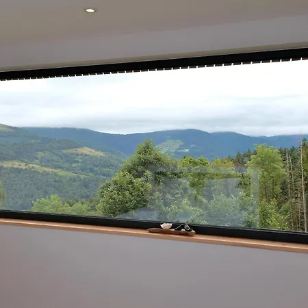 Moderne Avec Spa, Ideal Pour 12 Personnes - Fr-1-744-54 * Muhlbach-sur-Munster