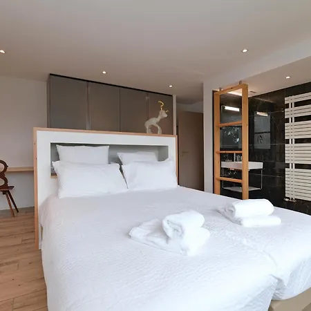 Moderne Avec Spa, Ideal Pour 12 Personnes - Fr-1-744-54 Feriehus Muhlbach-sur-Munster