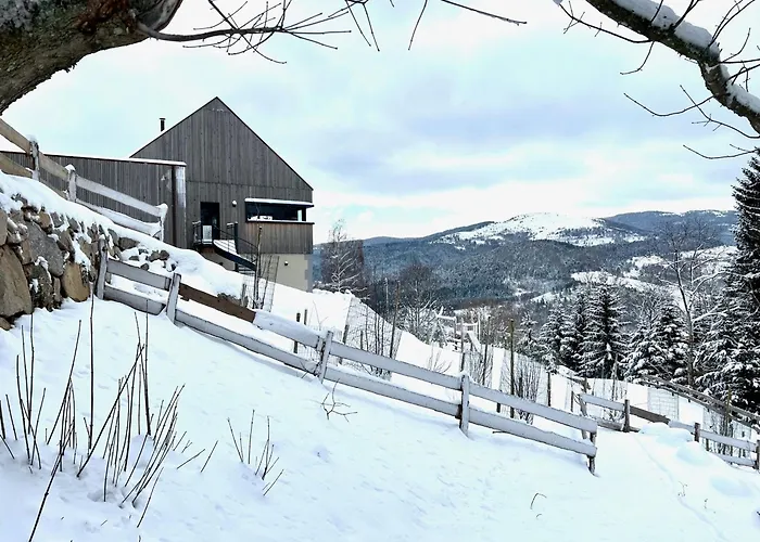 Moderne Avec Spa, Ideal Pour 12 Personnes - Fr-1-744-54 Holiday home Muhlbach-sur-Munster