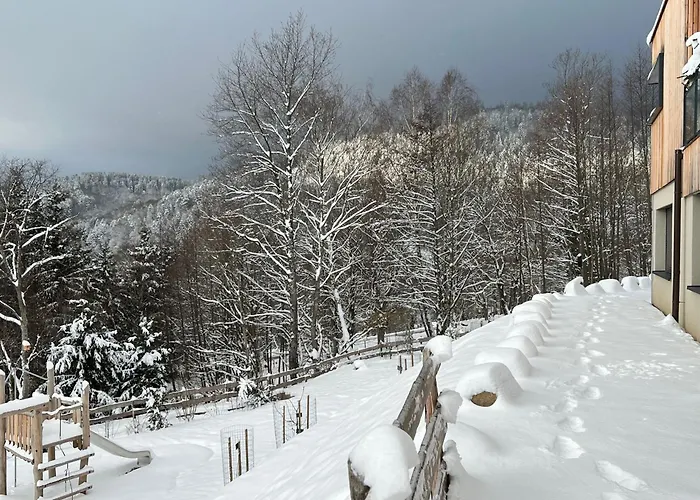 Moderne Avec Spa, Ideal Pour 12 Personnes - Fr-1-744-54 Holiday home