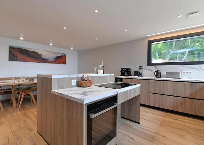 Moderne Avec Spa, Ideal Pour 12 Personnes - Fr-1-744-54 * Muhlbach-sur-Munster