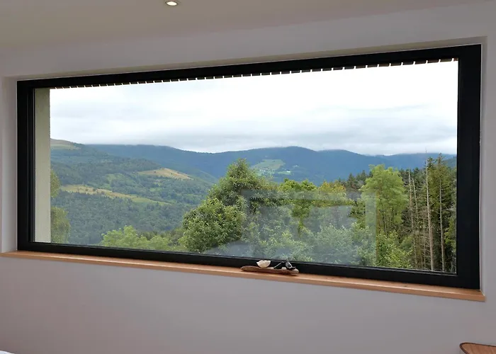 Moderne Avec Spa, Ideal Pour 12 Personnes - Fr-1-744-54 * Muhlbach-sur-Munster