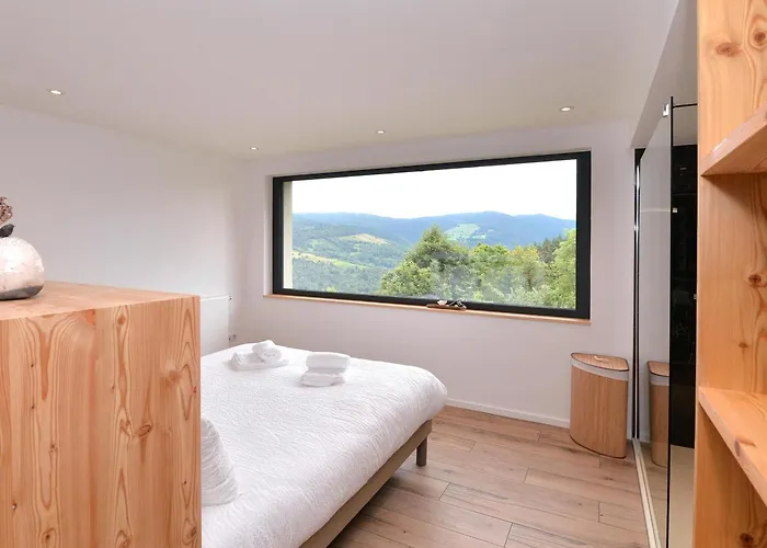 Holiday home Moderne Avec Spa, Ideal Pour 12 Personnes - Fr-1-744-54 Muhlbach-sur-Munster