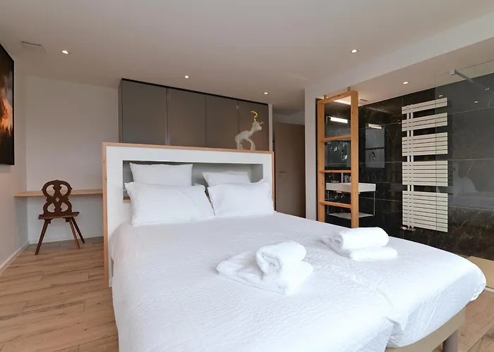 Moderne Avec Spa, Ideal Pour 12 Personnes - Fr-1-744-54 Holiday home Muhlbach-sur-Munster